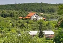 Teren Intravilan | 1500 MPU | Tocile, Comuna Sadu