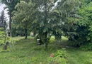 ofer spre vanzare teren pe malul lacului Snagov si vila S+P+E+M