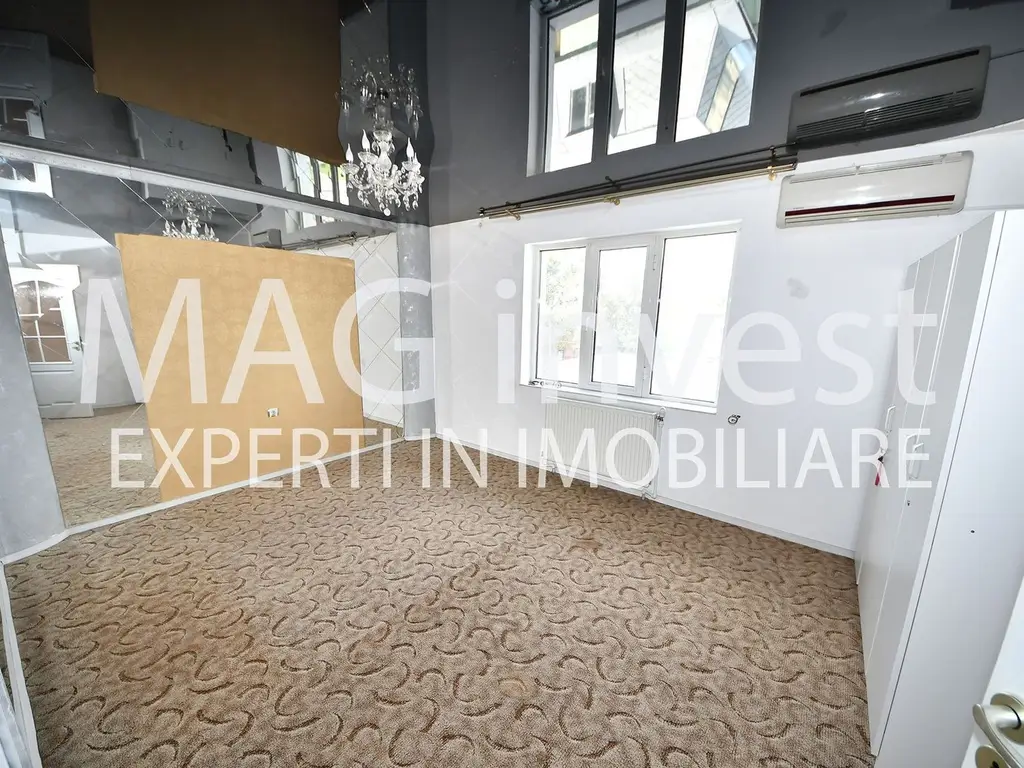 Exclusivitate - Vila P+2E - 15 camere, garaj - Mazepa 2, str. Al. Cernat