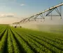 Platforma agro-industriala integrata–aproape 2.000 ha teren cultivabil