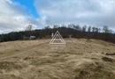 19.5 Hectare în Zona Turistică Montană – Bulz, Bihor