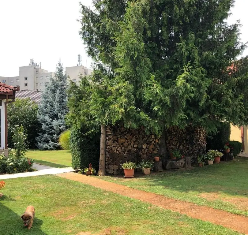 BRASADAS vinde casa cu 7 camere si teren 1100mp in zona Burdea.