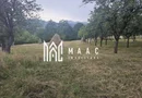 Casă 1 cameră de vânzare | Rădăcinești, Vâlcea | 5500 mp teren