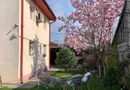 Vand  casa curte  + teren + SPATIU COMERCIAL