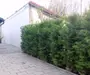 Casă renovată integral – ideală pentru birou/cabinet, sediu de firma