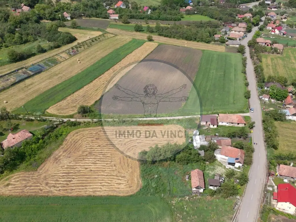 Teren Intravilan 1.439 mp Borșa, Cluj – Ideal Casă sau Cabană