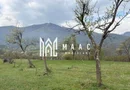 Teren de vânzare, 7750 mp I Orientare sudică I Caineni