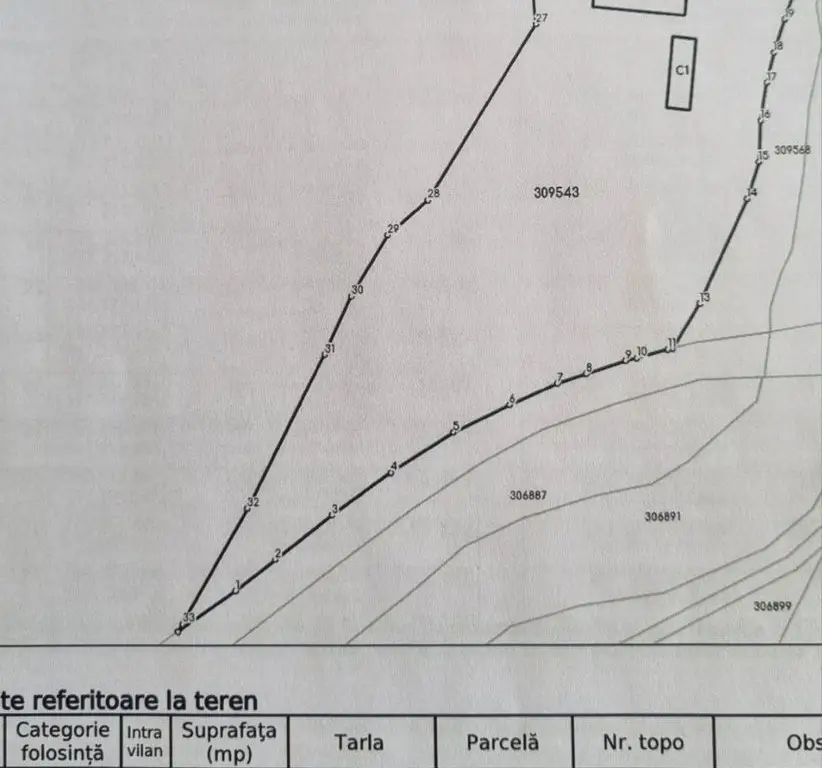 1,2 ha teren comercial/industrial cu hale in Baratca Paulis Arad