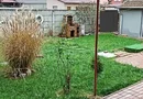 BRASADAS vinde casa cu 3 camere teren 360mp in zona Burdea.