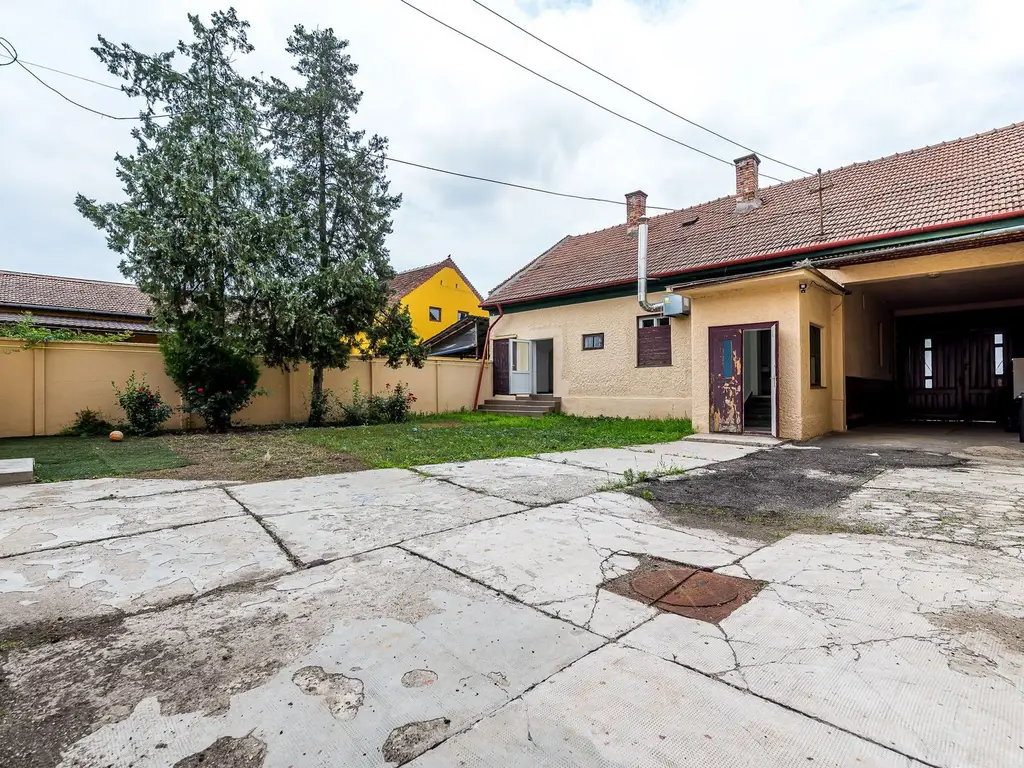Casa cu potential multiplu cu teren generos pe strada Dunarii