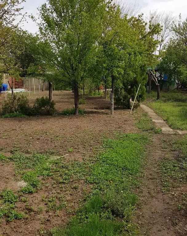 Teren 2.600 mp, utilități, Str. Merișor – Giurgiu