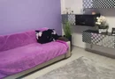 BRASADAS vinde ap 3 cam Carpați 2 PARTER.
