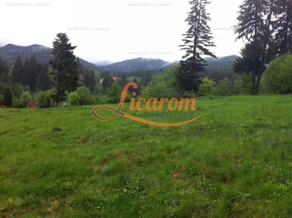 Teren intravilan Cotul Donului,pretabil Hotel/pensiune.