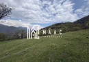 Teren de vânzare, 7750 mp I Orientare sudică I Caineni