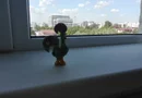 Garsoniera metrou Timpuri Noi