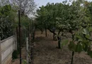 Ag EUROPA vinde casa 6 cam teren 11 ari în zona 14 Mai.