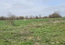 Afumati Balta Batal teren de vanzare 7000 mp