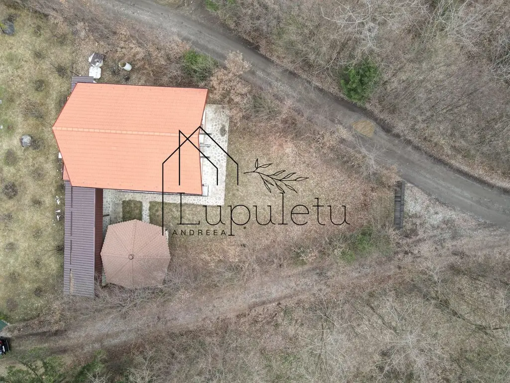 Casa de Vacanta | 120 MPU | Valea Avrigului