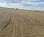 Vand teren extravilan in Martinesti
