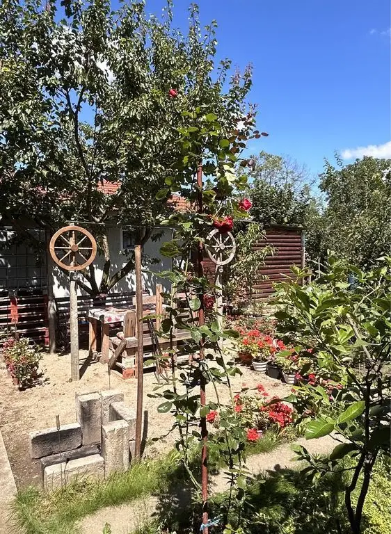 BRASADAS vinde casă cu etaj 8 cam 8 ari zona BOTIZULUI.