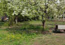 Teren 2.600 mp, utilități, Str. Merișor – Giurgiu