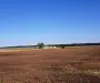 Teren intravilan de vânzare Brănești – DN3, deschidere 60 ml investie