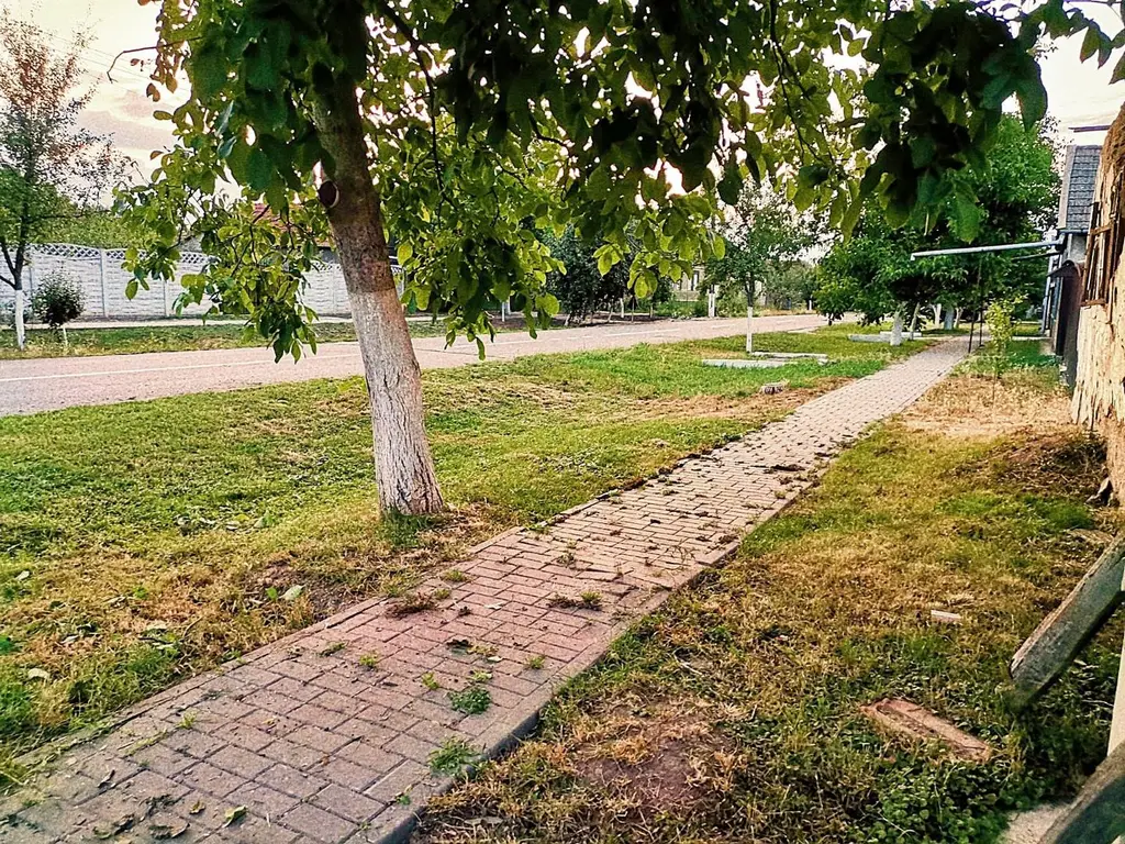 Teren de vânzare în Nadăb, 1.438 mp | Utilități complete | Comision 0%
