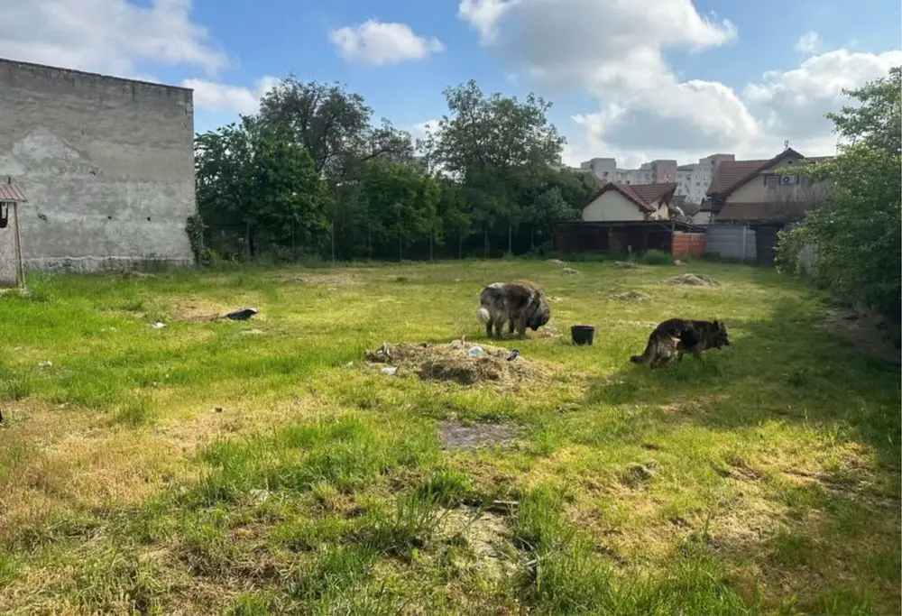 BRASADAS vinde teren in zona Soarelui.
