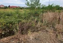 Teren pentru constructie blocuri. Braytim - Musicescu