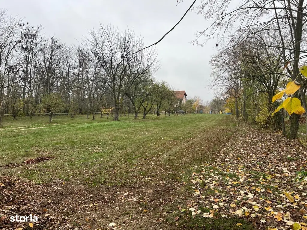 ofer spre vanzare teren pe malul lacului Snagov si vila S+P+E+M