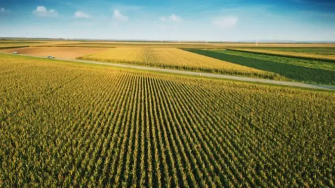 Teren agricol comasat- 260ha- jud Satu Mare- 10500 euro/ha- comision 0