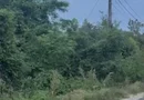 Ciolpani teren intravila 2500 mp de vanzare