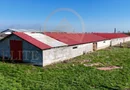 Tariverde - Ferma zootehnica functionala, 3 hectare teren intravilan!