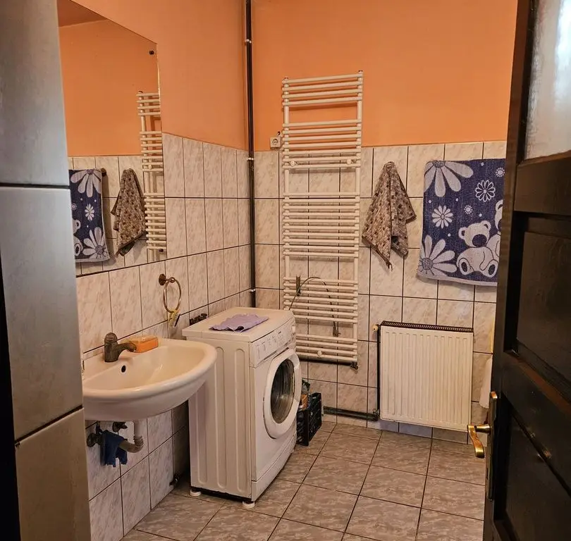 Casă 2 familii / firmă + livadă Satu Mare - Cionchești
