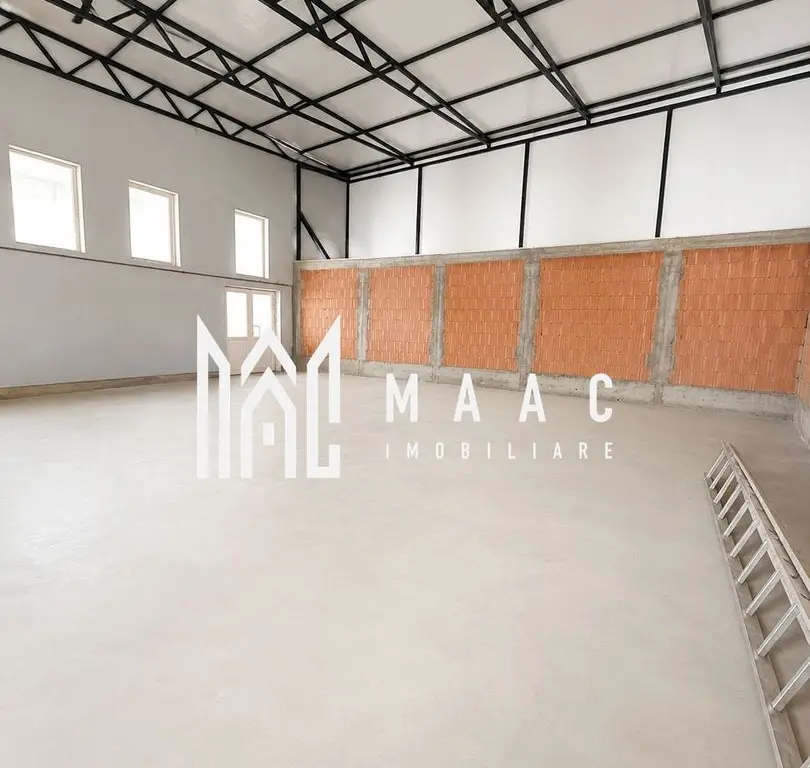 Hală industrială | 500 mp | Curte 600 mp | Zona Terezian