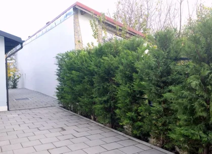 Casă renovată integral – ideală pentru birou/cabinet, sediu de firma