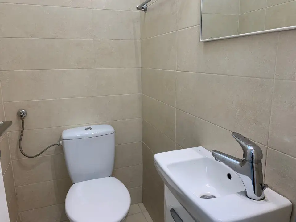 Apartament luminos cu gradina Sos Nordului Parc Herastrau