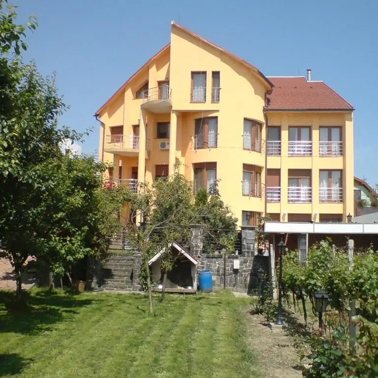 ageuropa.ro vinde casa 16 camere teren 1500mp in zona ULTRACENTRALA.