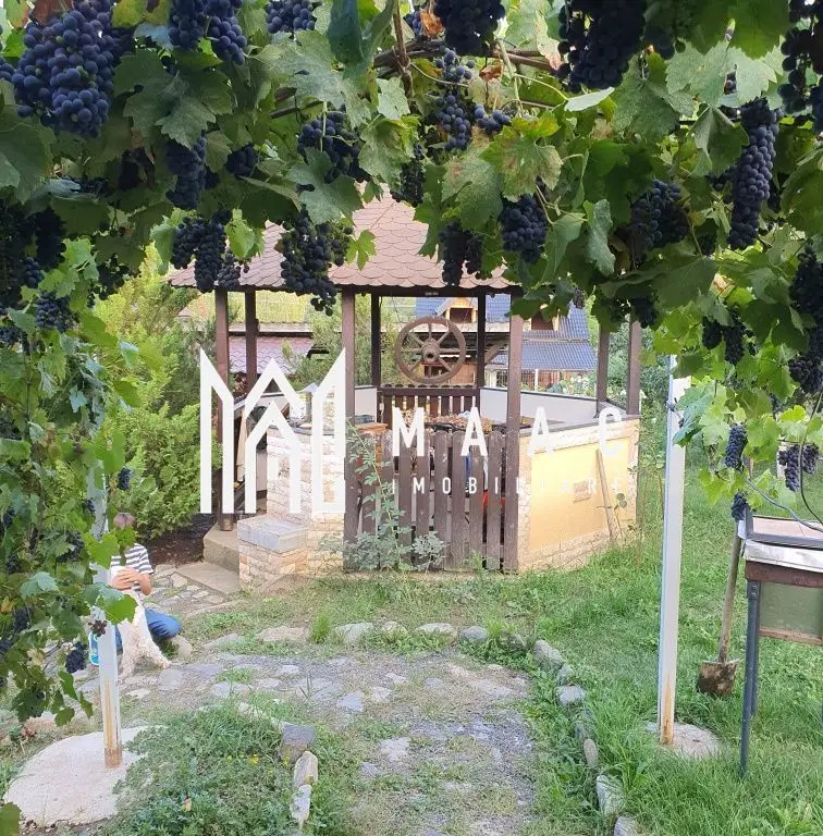 Teren Intravilan | 634 MP | Livada | Cisnadie