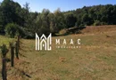 Teren Extravilan 20.000Mp I Stoenești -Vâlcea I Apă Curentă și Pădure