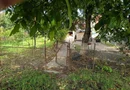 BRASADAS vinde casă 4 cam zona UNIO pentru două familii.