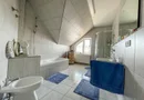 BRASADAS vinde casă tip D P M cu teren 17 ari in Bercu Roșu.