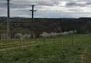 Teren cu o priveliste superba langa padure