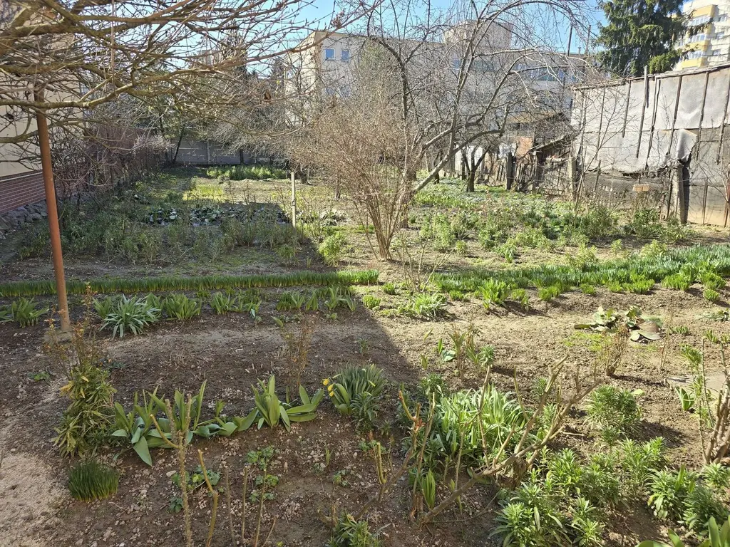 BRASADAS vinde casa 3 cam 120mp teren 7 ari zona Micro 17.