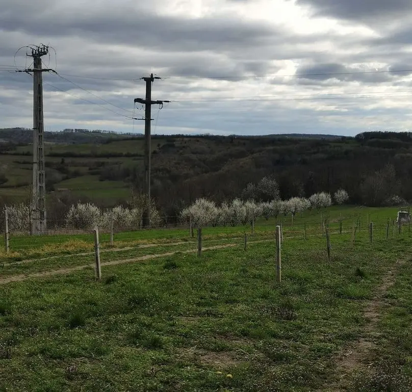 Teren cu o priveliste superba langa padure