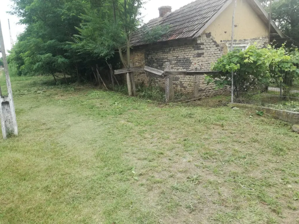 Ag BRASADAS vinde casa LOCUIBILA 3 cam teren 5.000 mp HOREA.