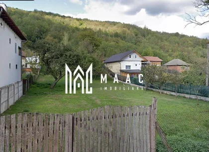 Teren Intravilan 10.000 mp | Livadă + Pădure de salcâm | Bărbătești