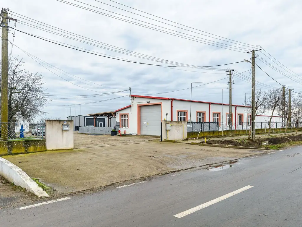 Hale depozitare/producție 2.000 mp si 10.000 mp teren în Pecica