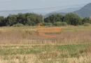 Codlea teren constructii industriale sau logistice 8 ha pana la 24 Ha