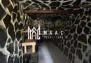 Casă I Teren 1550 mp I Sat Vale I Mărginimea Sibiului